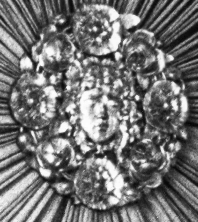The only existing image of the medallion that went missing. A new one was made based on this photo.